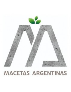 721380-MLA45866166700_052021,Maceta Hexagonal 10x10, Promo 3 Unidades 2