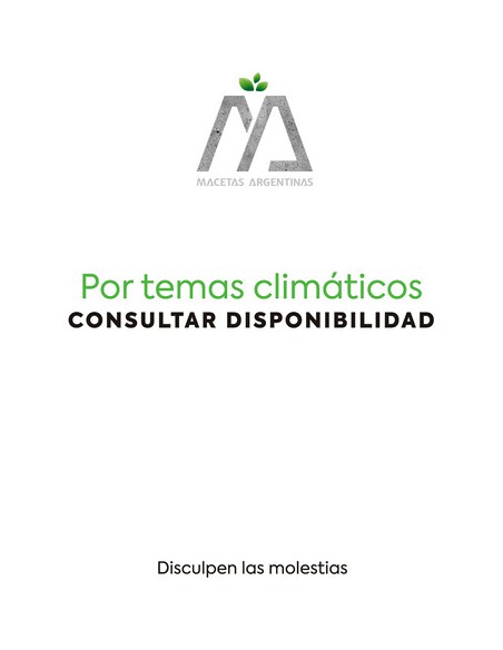 958643-MLA32569492525_102019,Macetas De Fibrocemento Conica 40 Cm.