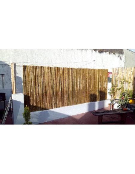825986-MLA41092231916_032020,Cerco Pergola Panel Cañas Bambu Tacuara 100x100 Cm