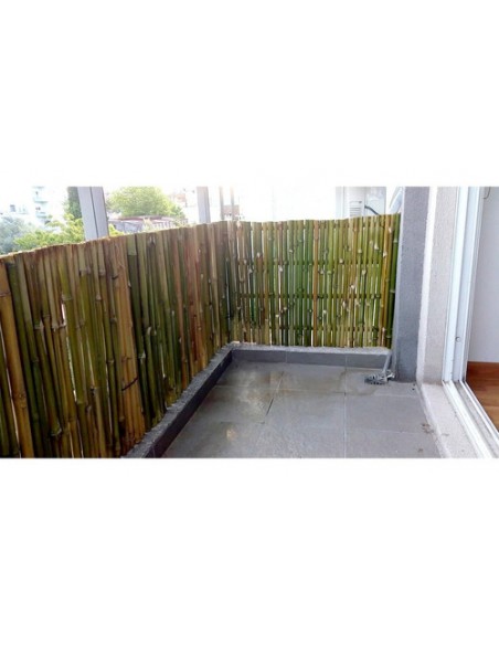 863606-MLA41092243771_032020,Cerco Pergola Panel Cañas Bambu Tacuara 100x100 Cm