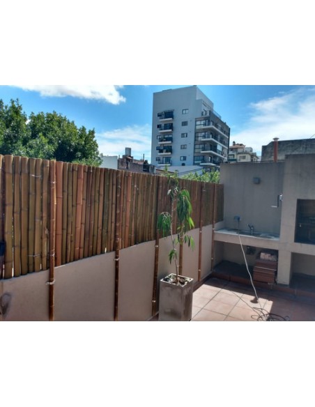 652483-MLA41092554380_032020,Cerco Pergola Panel Cañas Bambu Tacuara 100x150 Cm 1 Calidad