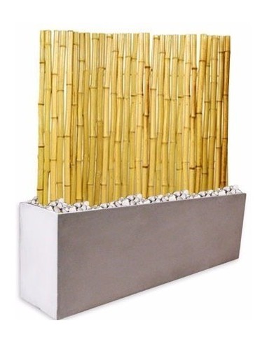 640403-MLA31035588121_062019,Kit Panel Cañas Bambu 1,5m Tacuara Maceta Fibrocemento 60 Cm
