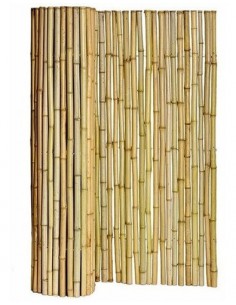 640403-MLA31035588121_062019,Kit Panel Cañas Bambu 1,5m Tacuara Maceta Fibrocemento 60 Cm 2