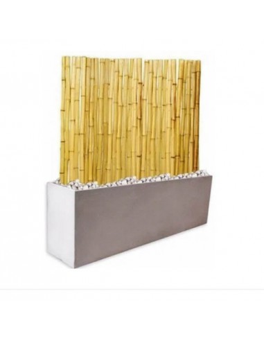 619114-MLA44974202318_022021,Kit Panel Cañas Bambu 1,8m + Maceta Fibrocemento 60.cm