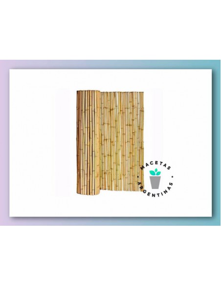 685768-MLA27424904792_052018,Kit Panel Cañas Bambu 1,8m + Maceta Fibrocemento 60.cm