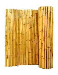 808341-MLA44973190736_022021,Kit Panel Cañas 2m Bambu Maceta Fibrocemento 60 Cm 1ºcalidad 2