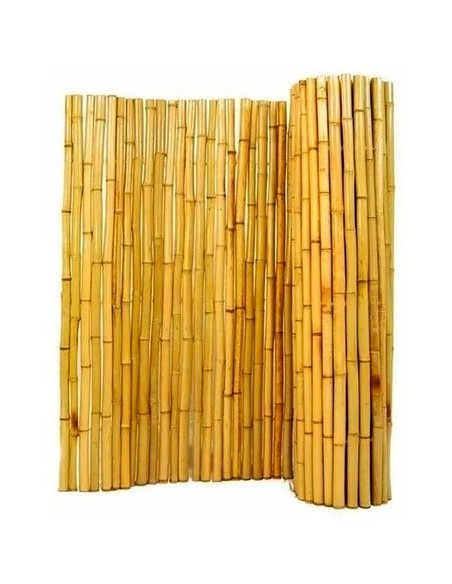714945-MLA44123864199_112020,Kit Panel Cañas 2m Bambu Maceta Fibrocemento 60 Cm 1ºcalidad