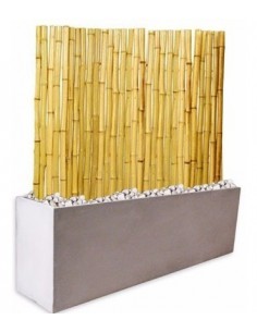 759787-MLA31062510186_062019,Kit Panel De Cañas 1,5m. Tacuara Maceta Fibrocemento 80 Cm