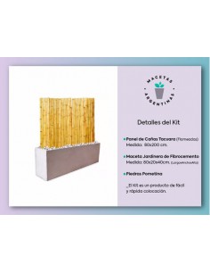 627168-MLA44351258473_122020,Kit Panel Cañas 2m Bambu Tacuara Maceta Fibrocemento 80 Cm 2