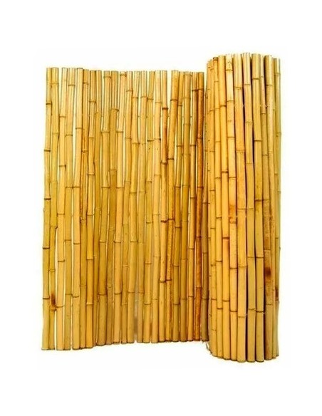 798659-MLA41095856934_032020,Kit Panel Cañas 2m Bambu Tacuara Maceta Fibrocemento 80 Cm