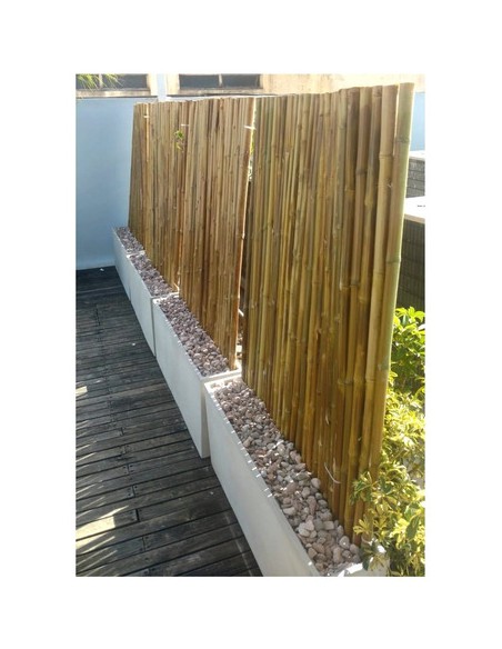 918711-MLA41095267363_032020,Kit Panel Cañas De Bambu 2m. Maceta De Fibrocemento 100cm.