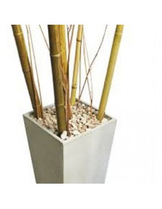 793242-MLA40444036205_012020,Combo Diseño Maceta Piramidal 80x35x25 Piedra Mimbre + Caña