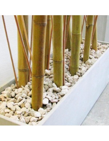 877282-MLA45107517189_032021,Combo Maceta Jardinera 60x20x30 +piedra+mimbre+cañas