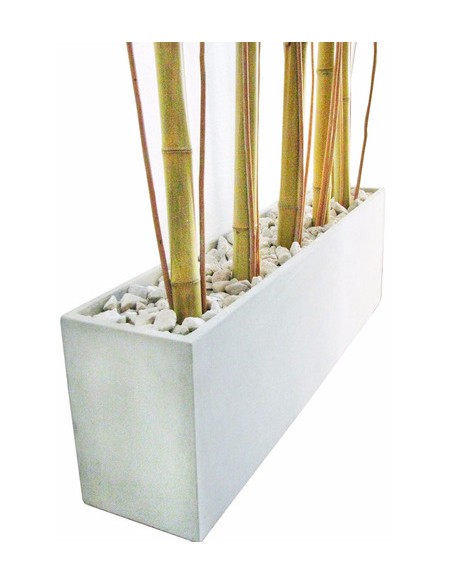 149125-MLA25392462981_022017,Combo Maceta Jardinera Fibro 100x20x30 +piedra+mimbre+cañas