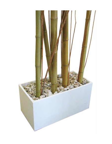 781490-MLA31583201751_072019,Combo Maceta Jardinera Fibro 60x30x30 +piedra+mimbre+cañas