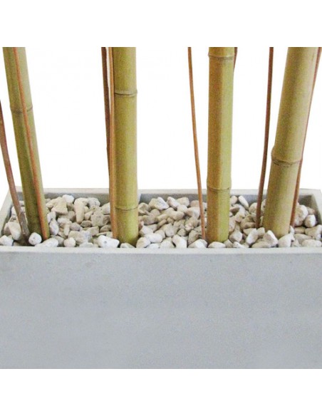 790290-MLA25678161462_062017,Combo Maceta Jardinera Fibro 60x20x40 +piedra+mimbre+cañas