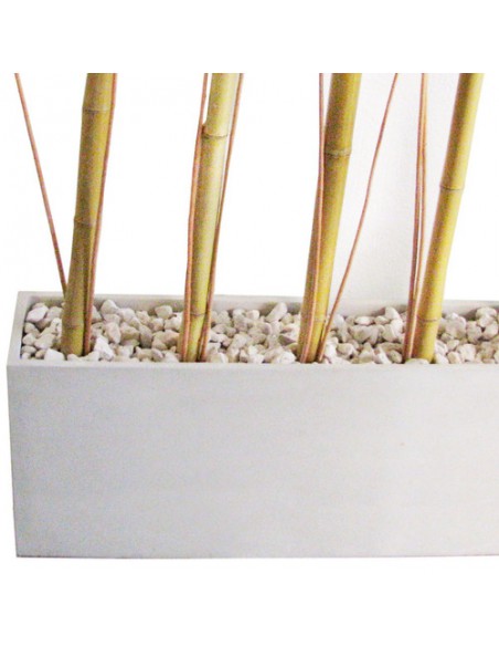 923739-MLA25678088090_062017,Combo Maceta Jardinera Fibro 100x20x40 +piedra+mimbre+cañas